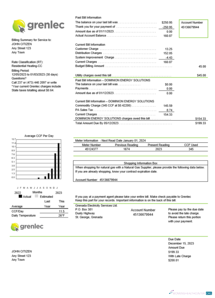 download download Grenada Electricity Services utility bill Word and PDF template PDF template PDF template